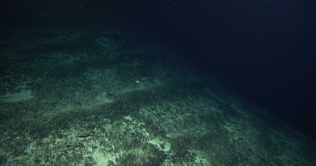 في قاع المحيط.. علماء يكتشفون "الأكسجين المظلم"